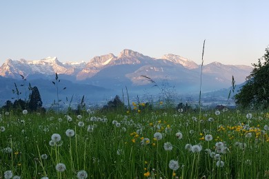 Landschaftsbild Kanton Schwyz