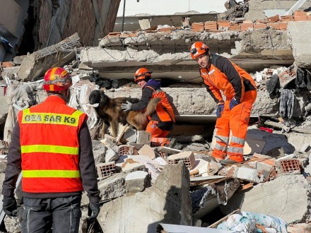 Ein Rettungsteam mit einem Suchhund auf einem Trümmerfeld eines eingestürzten Gebäudes.