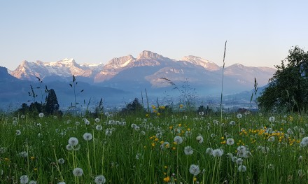 Landschaftsbild Kanton Schwyz